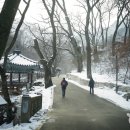공주 - 수영구 | 공주