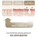 남성 보습 탄력 장벽 올인원 추천 | 토리든 솔리드인 포맨 세라마이드 보습 올인원 내돈내산 후기