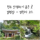 금대에코힐링캠핑장_2 | 원주 산책하기 좋은 곳 금대에코힐링캠핑장 - 영원사