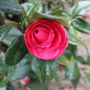 대현고등학교 이미지