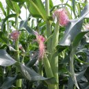 주천중학교 이미지