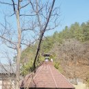 한솔이네 한옥 이미지