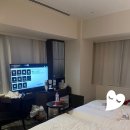 주식회사 조은침대 | 2박3일 여행 day2 도쿄디즈니랜드 / 산리오월드 긴자 / 우나기빈쵸 장어덮밥 & 장어계란말이 맛집 후기