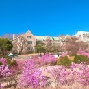 강남백년가약국 | [일상]웨스틴조선호텔 하객후기/ 웨스틴조선호텔 그랜드볼룸홀 하객후기(시청역, 주차, 식사(메뉴...
