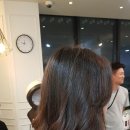 스펠라헤어 네이버블로그