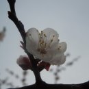 충주댐가든 이미지