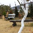 영희의 정원 이미지