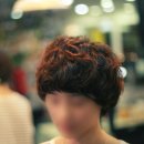 머쉬룸 이미지