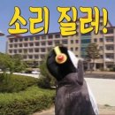 토리키치인천루원시티점