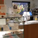 치즈사진카페 이미지