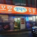 착한생돼지 이미지