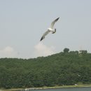 외간초등학교 이미지