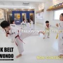 태권도연구방법 이미지