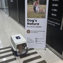 네이처나루 | 서울 강아지훈련 독스네이처 후기 | 배변훈련 사회성 교육 제대로 배우고 온 후기