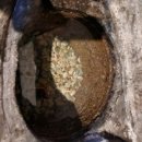 유복이네 이미지