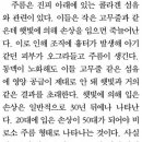 헐~ 선크림 안바르고 50대되면. . 이미지