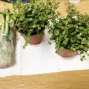 상록이비인후과의원 이미지