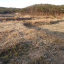 장고항1리 마을회관 이미지