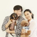 호박동물병원 이미지