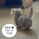 제빵소작