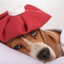 해울한의원 이미지