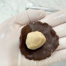 애견식단 이미지