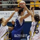 테일러포토