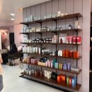 살롱드로즈 SALON DE ROSE