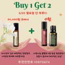 [도테라 보고데이 1일차] 자스민+시트러스블룸, 유칼립투스 / 반값구성 및 신규가입 구매혜택 안내