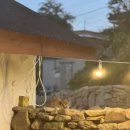 한옥스테이 북성리 이미지