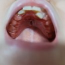 트리플치과의원 이미지