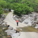 왕소나무집 이미지