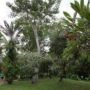 그 오토바이 가게 이미지