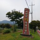 금선식품