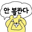 씨에씨에 이미지