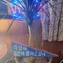 제비상회 이미지