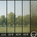 [클렌징프로] 송파 미성맨션 유리창 청소 후기 (오래 묵은 물때 벗기기)