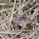 월학농장 이미지