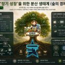 디지털썬