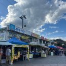 지정로 | 강원도 원주 가볼만한 곳 소금산 그랜드밸리 트레킹코스 출렁다리 솔직 후기