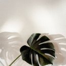 용다방 - 제주시 구좌로 34-1 | 용다방