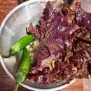 동해시-16 | [강원도 동해] 특수부위 숙성고기 맛집! 체인점 아닌 ‘고기서고기’ 현지인 후기