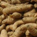 천마가스 이미지