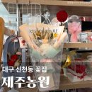 착한농원꽃 | 대구 중구 신암동 칠성시장 꽃집 제주농원 대구 개업 화분 화환 가격 배달 추천 후기