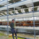 박씨축산 이미지