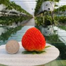 재인 농장 이미지