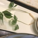 동원참치운정점 이미지