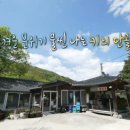 강원도식당 이미지