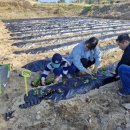 삼보농장 이미지