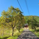 교동향교 주차장 이미지